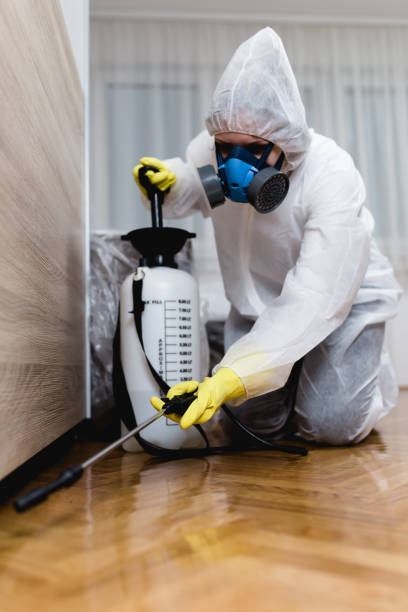 Best Indoor Pest Control  in Mansfield, LA